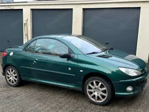 Peugeot 206 206 CC 110Roland Garros