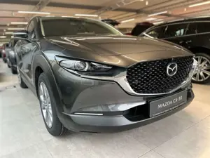 Mazda CX-30 Takumi 186 PS *GSD*Leder*Kamera* Bild 4