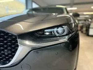 Mazda CX-30 Takumi 186 PS *GSD*Leder*Kamera* Bild 5