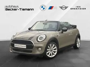 MINI Others Cooper Cabrio Navi | LED | CarPlay | Parkassist. |
