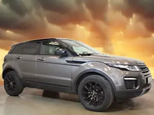 Land Rover Range Rover Evoque 2,0 TD4 *BlackPack Kamera Pano* Bild 5