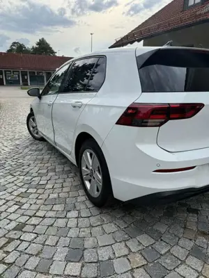 Volkswagen Golf Golf 2.0 TDI SCR DSG Life