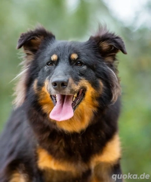 Wer gibt Tosya eine neue Chance