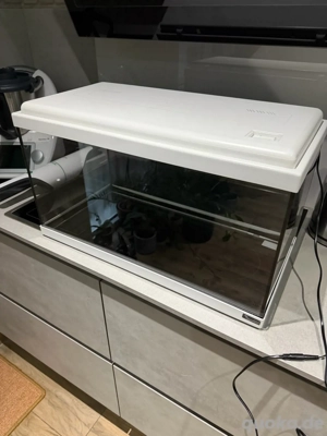 Gepflegtes 60er Aquarium aquatlantis Advance 60 LED. 