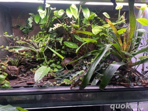 Glasterrarium 80x45x45 cm mit Bodenablauf 