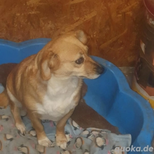 Omi Bengy - ein liebenswertes Seelchen