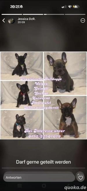 süsse babys suchen ein zu Hause