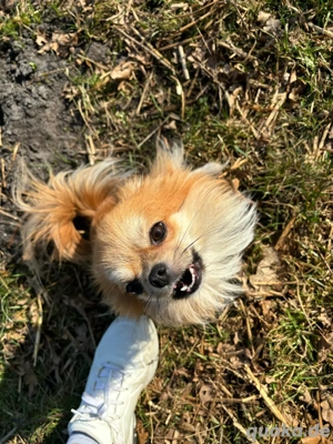 Mali sucht eine liebe volle familie 