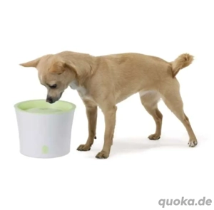   NEW & original packaging   Catit Fresh & Clear Drinking Fountain 3 L (Light Green) Bild 3