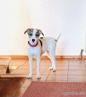 Lilly ein tolles liebes Mädchen 
