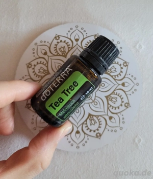 doTERRA Tea Tree 15 ml