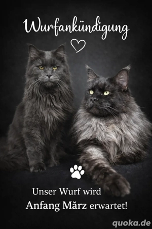 Wurfankündigung 2026