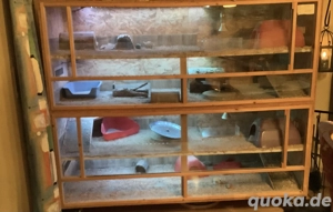 OSB Terrarium gross B 180 H 155 T 70 cm