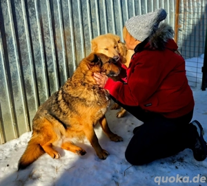 Miorita sucht ein warmes Plätzchen! Bild 9