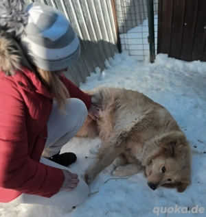 Miorita sucht ein warmes Plätzchen! Bild 7