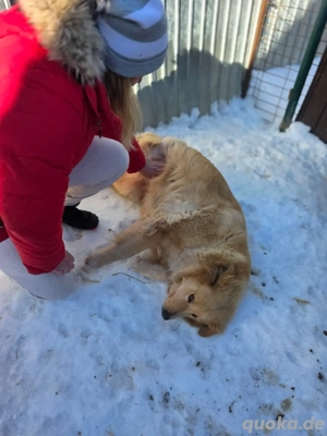 Miorita sucht ein warmes Plätzchen! Bild 8