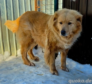 Miorita sucht ein warmes Plätzchen!