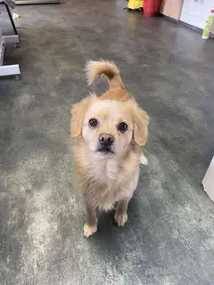  Fanni, z. Zt. in Ungarn, ist ein besonders hübsches Mädchen,