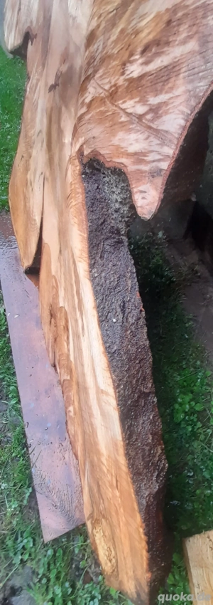 Baumscheiben Holzscheiben Bretter