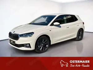 Skoda Fabia Tour 1.0 TSI 85 kW 7-Gang-DSG.LED.AHK.SHZG.SMARTLI