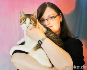 Katzen-Glück: Hilfe bei Angst, Unruhe & Streit