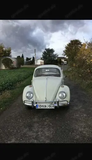 Volkswagen Käfer 1966 VW Käfer im Originalzustand mit charmanter Al