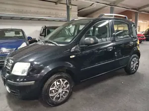 Fiat Panda 1.2 8V Dynamic KLIMA TUV ZAHNRIEMEN NEU