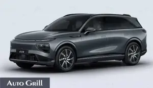 Xpeng G9 2025 AWD Performance AHK PremiumPaket Pano