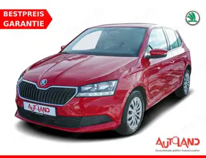Skoda Fabia 1.0 MPI Cool Plus Klima Sitzheizung PDC