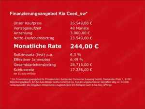 Kia Ceed SW / cee'd SW Vision 1.5T DCT7 Komfort Navi Kamera ACC Klima PDC Bild 4