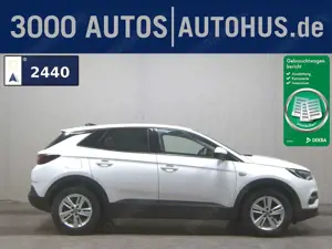 Opel Grandland X 1.5 D Business Ed. Navi Ahk LED Shz