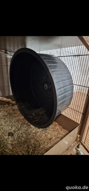 Laufrad Metall Degus Chinchilla gross