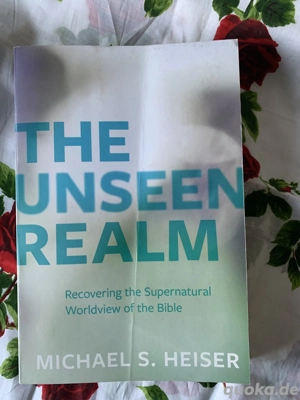 Michael S Heiser THE UNSEEN REALM Taschenbuch 2015 Englisch, Paperback
