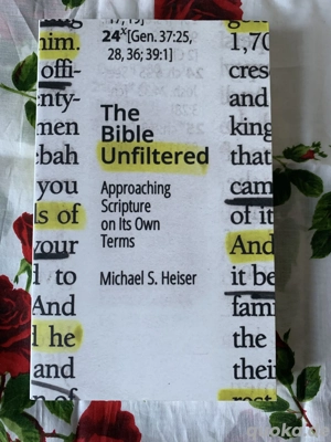 MICHAEL S HEISER The Bible unfiltered Taschenbuch 2017 ENGLISCH, Paperback