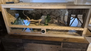 OSB Terrarium 100x40x40 inkl Heatpanel und Thermocontrol 