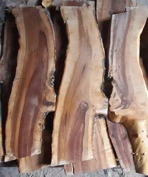 Baumscheiben Holzscheiben Bretter Bohlen Dielen