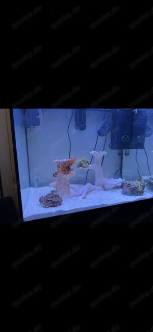 meerwasser Aquarium 100L komplett