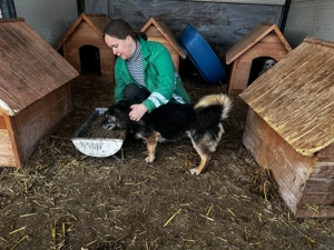 Liebervoller Merlin sucht neues Zuhause  Bild 6