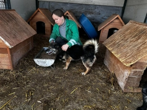 Liebervoller Merlin sucht neues Zuhause  Bild 5