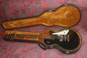 Duesenberg Starplayer Special im Top gepflegten Zustand.Ev.Tausch