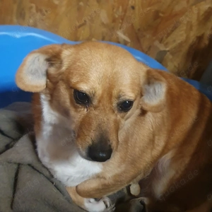 Omi Bengy - ein liebenswertes Seelchen Bild 4