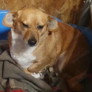 Omi Bengy - ein liebenswertes Seelchen Bild 6