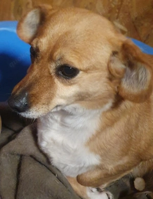 Omi Bengy - ein liebenswertes Seelchen Bild 2