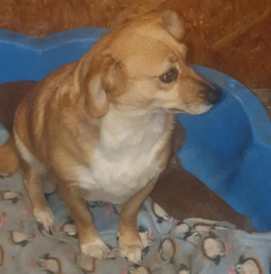 Omi Bengy - ein liebenswertes Seelchen Bild 5