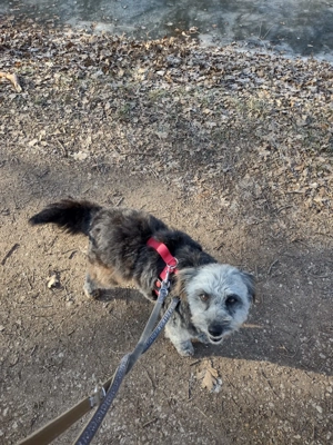 Ana sucht Ihre Menschen!