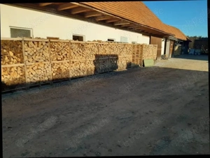  Brennholz (Eiche,Buche,Esche,Ahorn,Charme,Tanne)