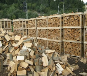  Lieferung,Brennholz Eiche,Buche,Esche in der gesamten Region