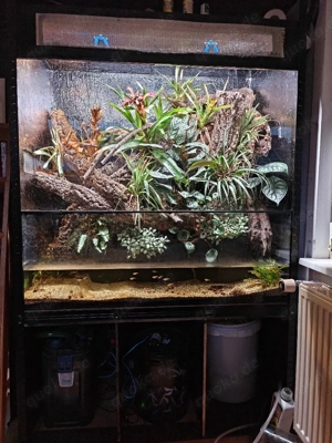 Terrarium 120x60x180cm