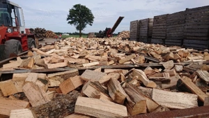 Brennholz (Paletten lose) 40   m 