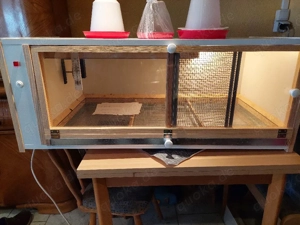 Aufzuchtbox 